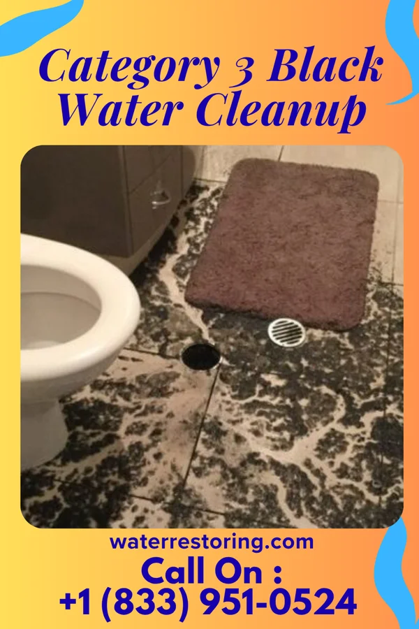 Category 3 Black Water Cleanup in East Aurora, NY
