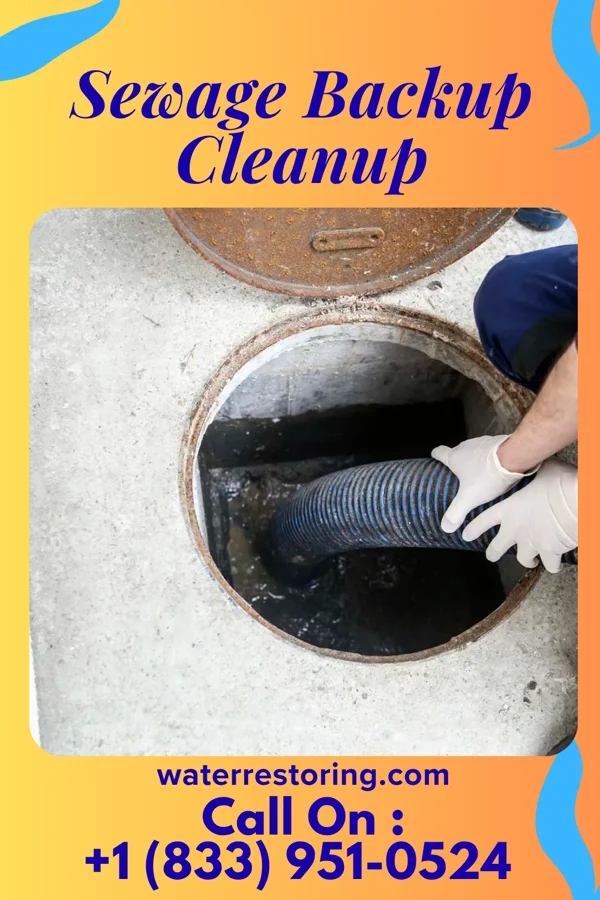 Sewage Backup Cleanup in East Aurora, NY