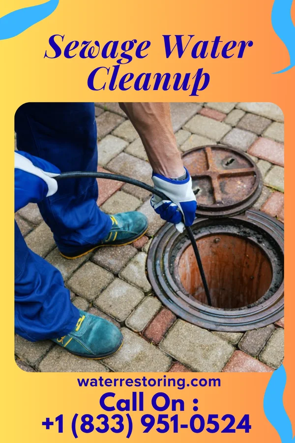 Sewage Water Cleanup in East Aurora, NY